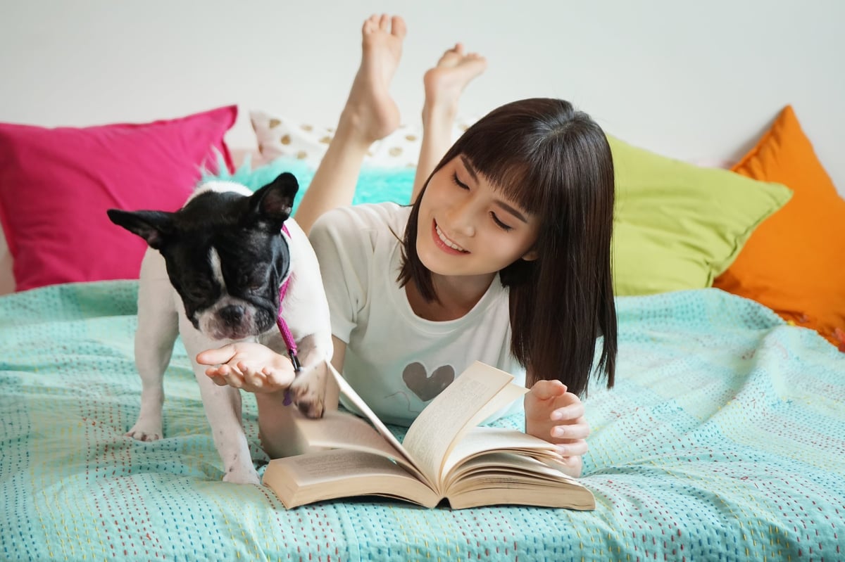 Rainy Day Activities to Keep Your Dog Entertained Indoors