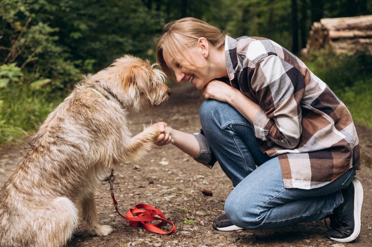 Woman kneeling on wooded trail gently shaking paws with her dog — understanding dog body language