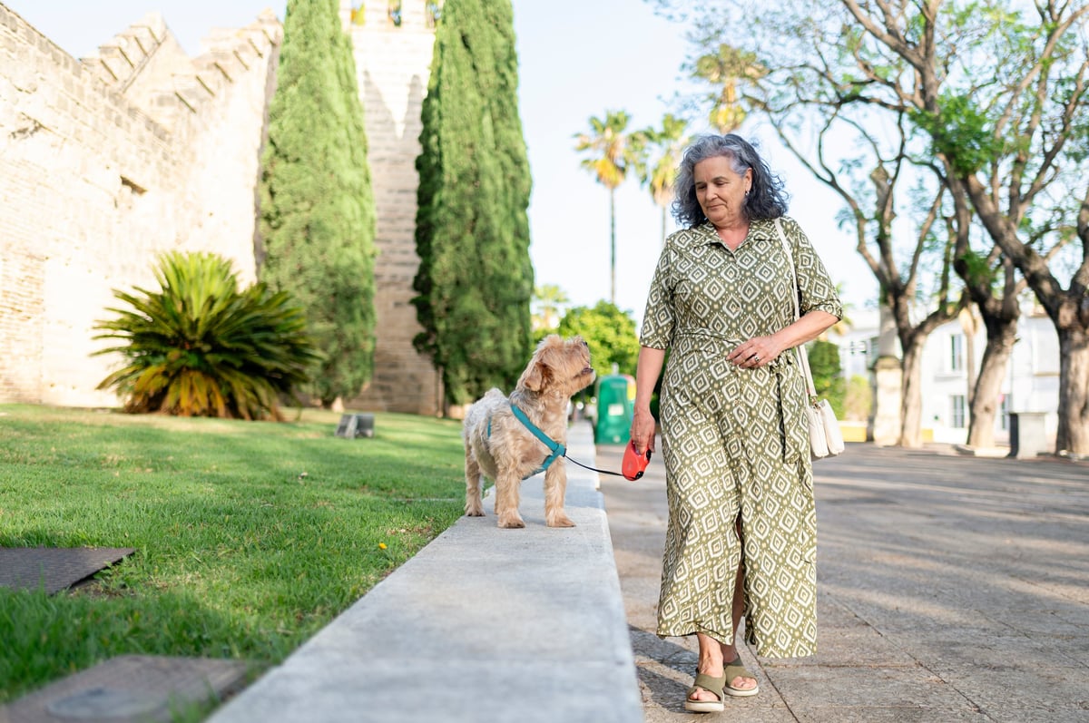 How to Choose the Right Dog Walker for Your Pup