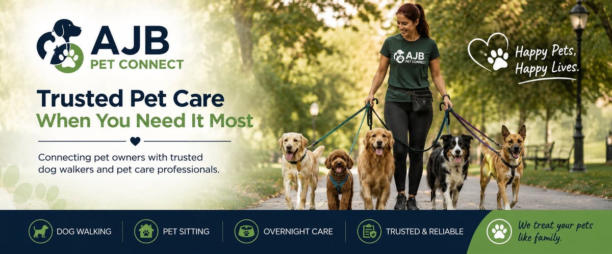 AJB Pet Connect — Woman walking multiple dogs in a park with the AJB Pet Connect logo and trusted pet care services tagline